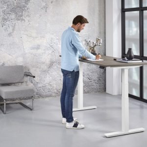 Zit Sta Bureau Elektrisch ErgoDesk 65-130 cm – Wit frame
